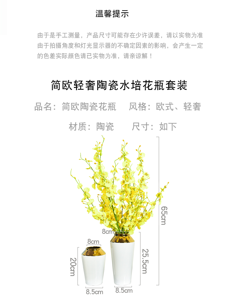 Modern light key-2 luxury ceramic vase hydroponic furnishing articles Jane 's creative living room table simulation flower art flower arranging machine accessories