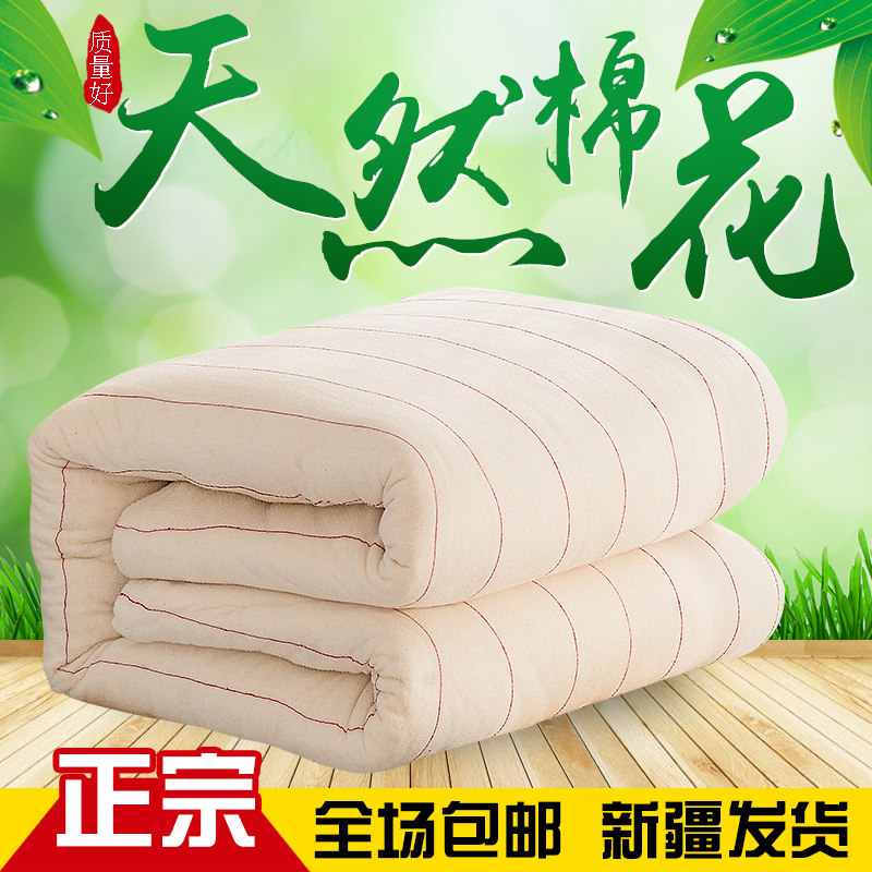 Cotton quilt winter quilt 6 8 10kg double single student dormitory thick warm cotton pad quilt core
