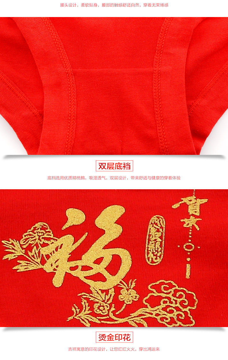 Slip jeunesse en coton - Ref 669353 Image 24