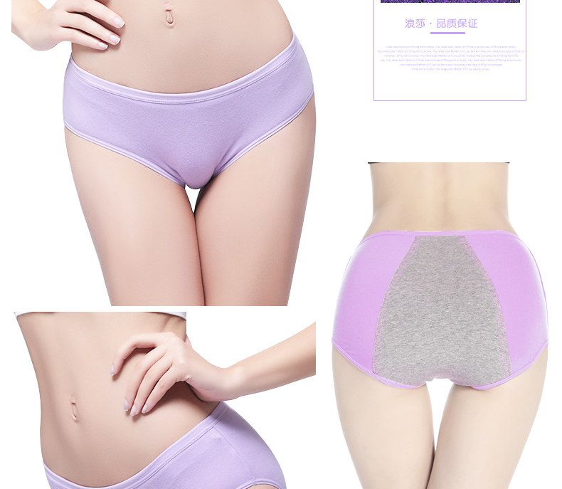 Slip jeunesse G1116 en coton - Ref 669351 Image 16