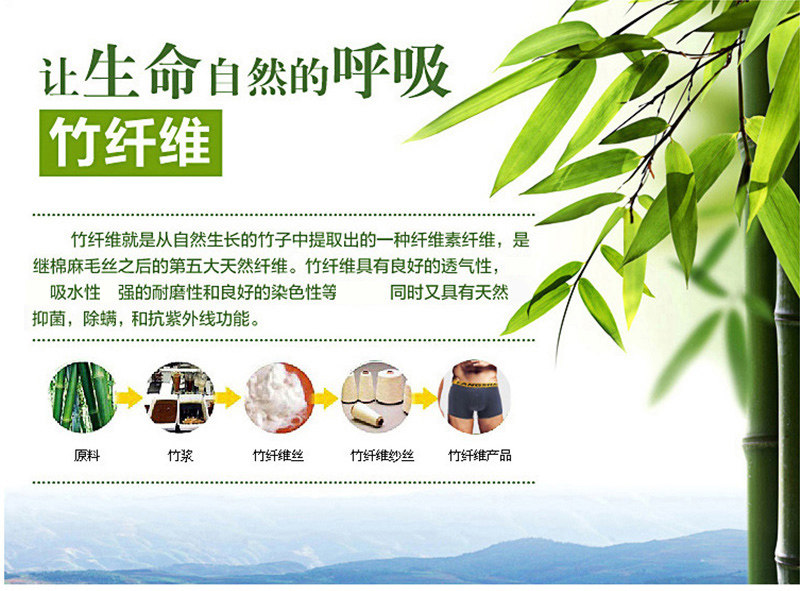 Slip jeunesse LS4465 en autre - Ref 669338 Image 6