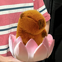 Dolphin Jun [No Edition]+маленький цветок лотоса