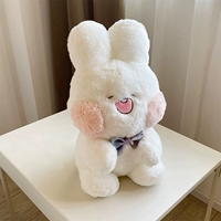 Общая сумма денег [Momo Rabbit]