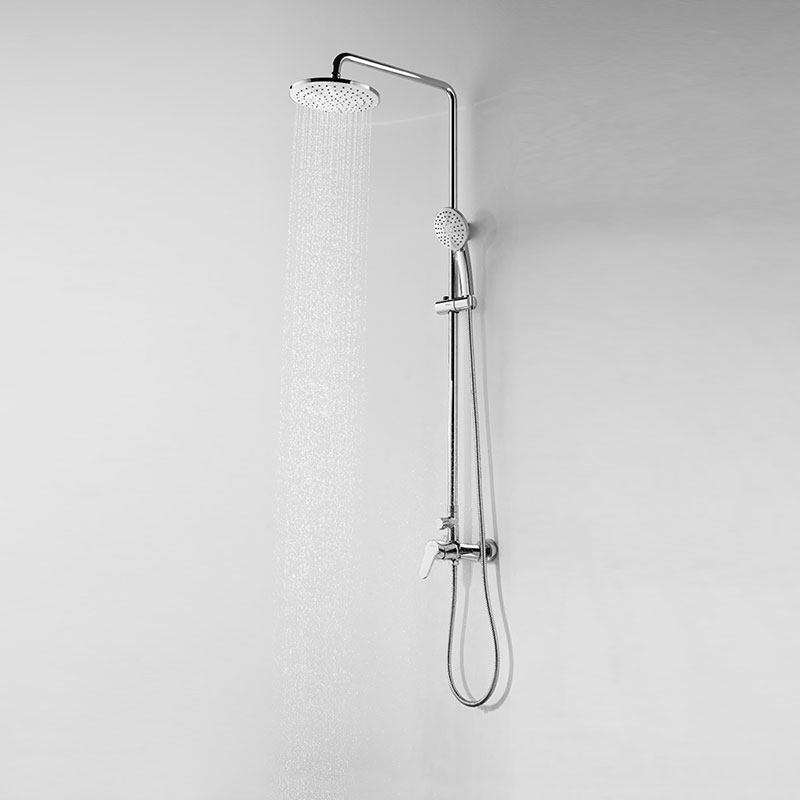 Sura Whale SSWW Dual-use Shower Shower T03001A ACTUALLY HOME