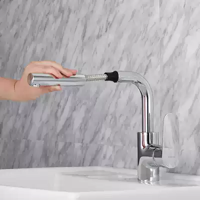 Colerio pull-out basin basin bathroom hot and cold water faucet 2071016