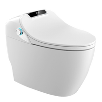 Hengjie Internet celebrity smart toilet Q9 (HCE900A01)