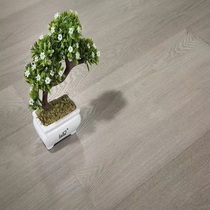 Living Home Solid Wood Composite Formaldehyde Removal Floor Heating Series Iceland Dawn Color Fashionable Light Brushed