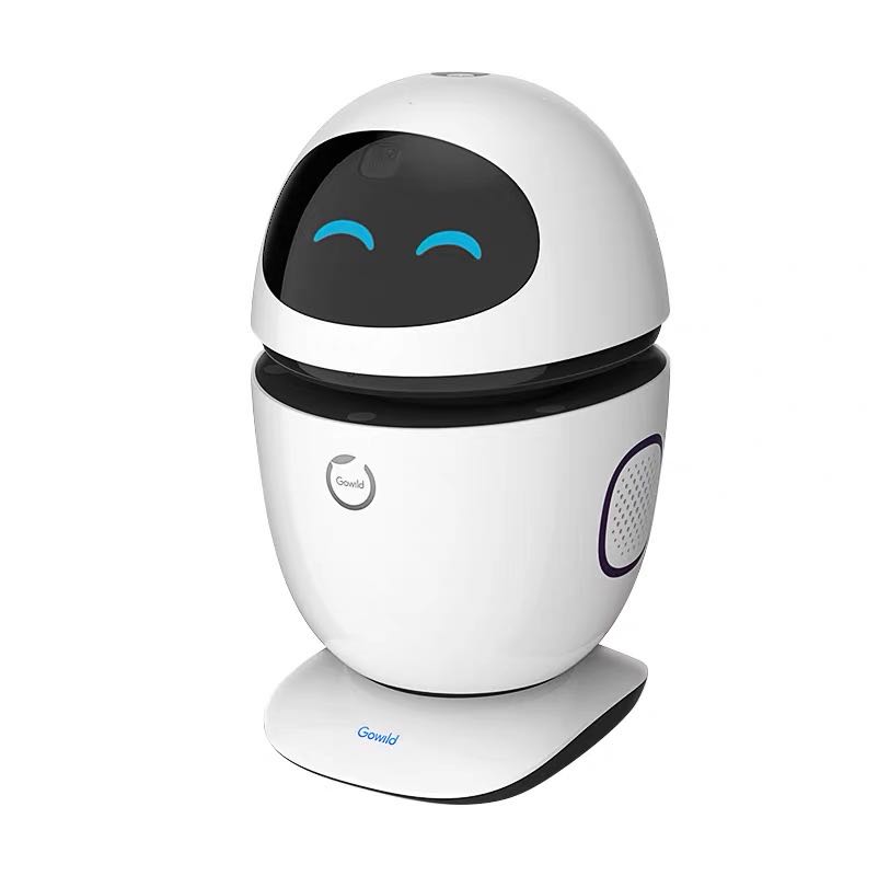 The Intelligent Voice Robot Commons Little White