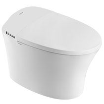 Wrigley Bathroom Intelligent Integrated Toilet Washing and Drying Seat Constant Temperature Heating Ceramic Body AKB1197-B