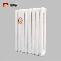 (Lize) Sunflower Jinshun*JS600-260