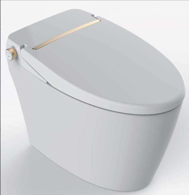 HDE 3003 smart toilet for HDE 3003 in the home of the house