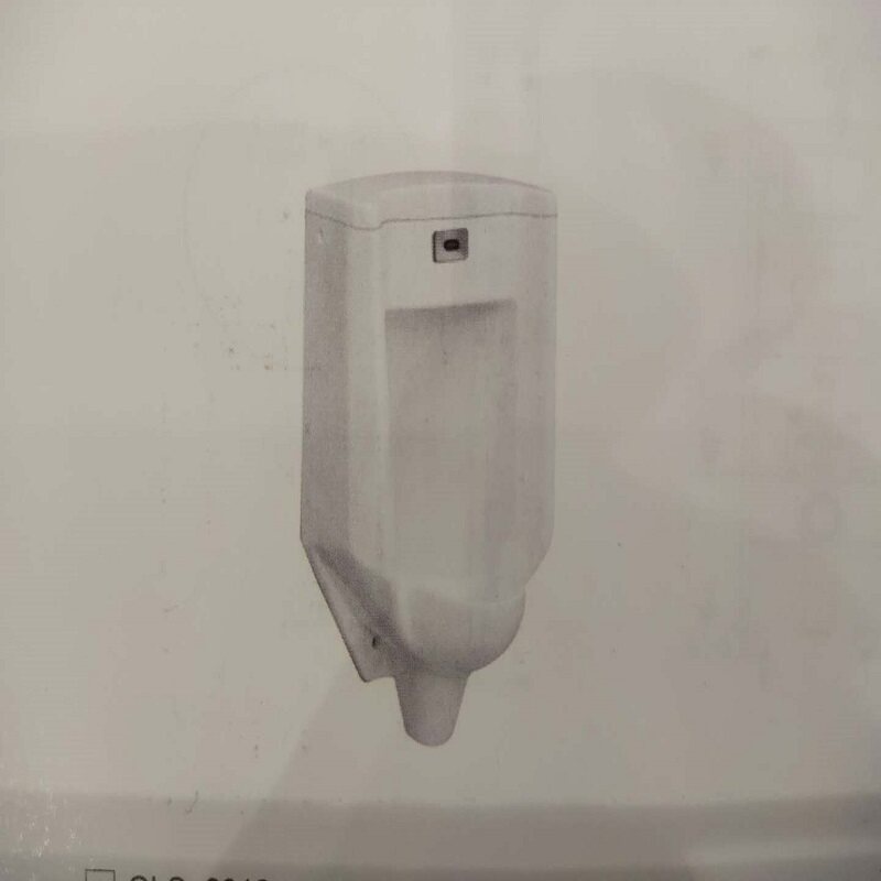 O Luisa (wall ground drainage) induction of a urinal