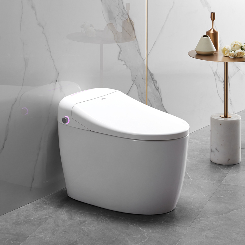 Wave whale bathroom fully automatic intelligent toilet ICO 527 integrated, heat - type electric flush drying multi - functional household