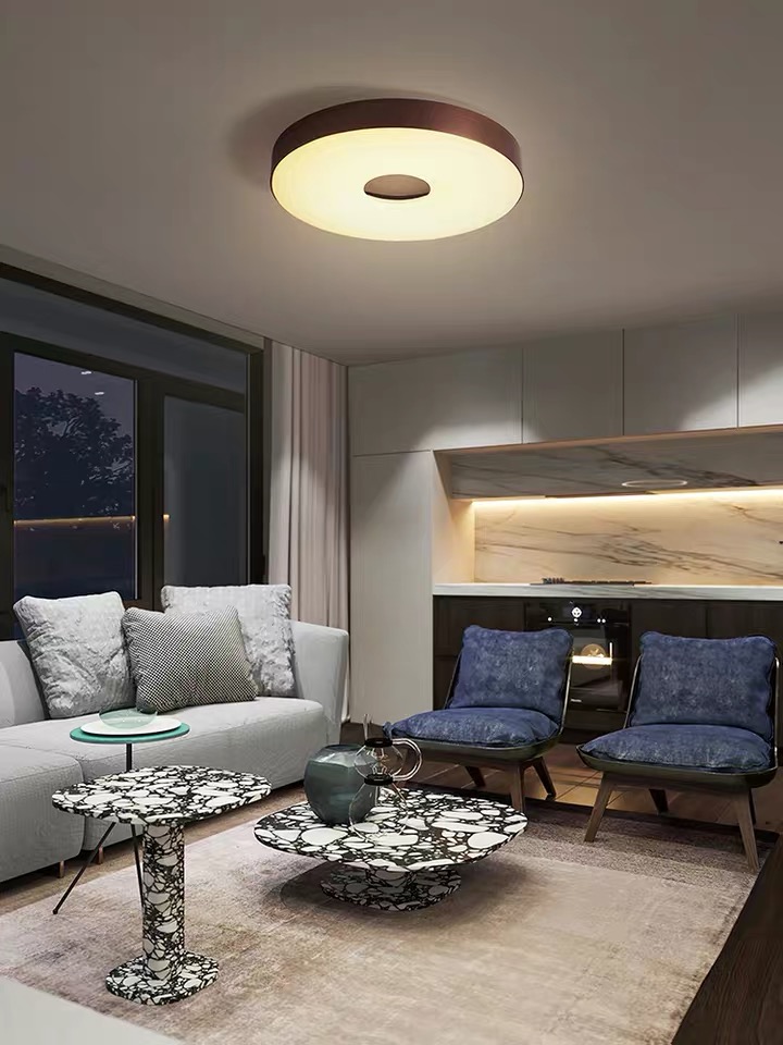 New Chinese suction ceiling lamp modern minimalist living-room lamp cozy bedroom lamp personality creative dining room Lighting Balcony light