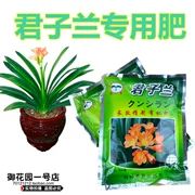 Cung cấp làm vườn hạt phát hành chậm Clivia lá phong lan lớn Hổ Piran phân bón đặc biệt / cây lan phân bón hữu cơ chung