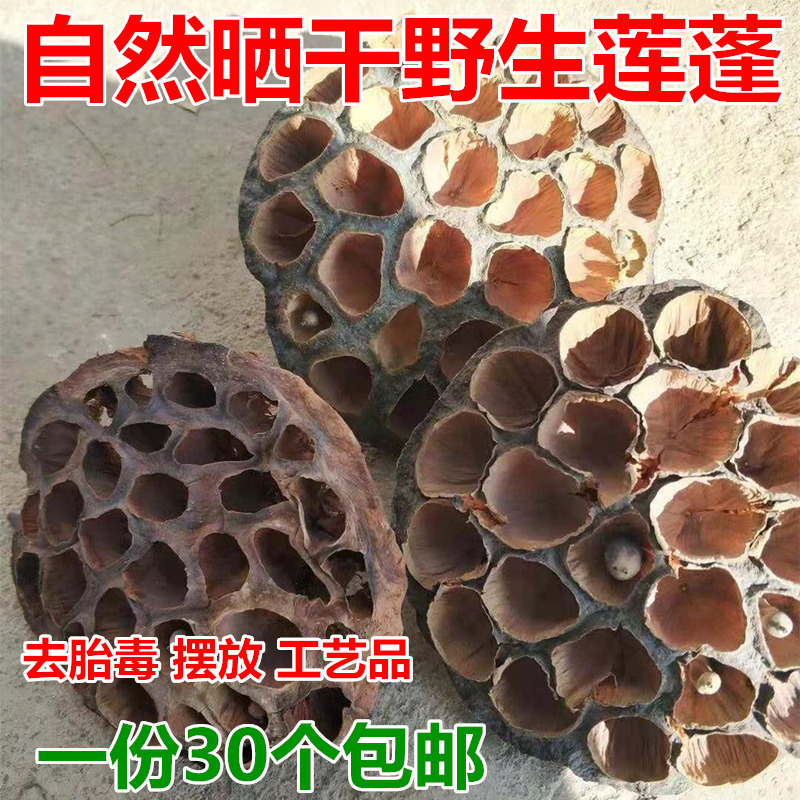 Dry showerhead dry lotus room sulfur-free natural air-dried old lotus seed shell fetal poison Chinese herbal medicine edible medicine 30