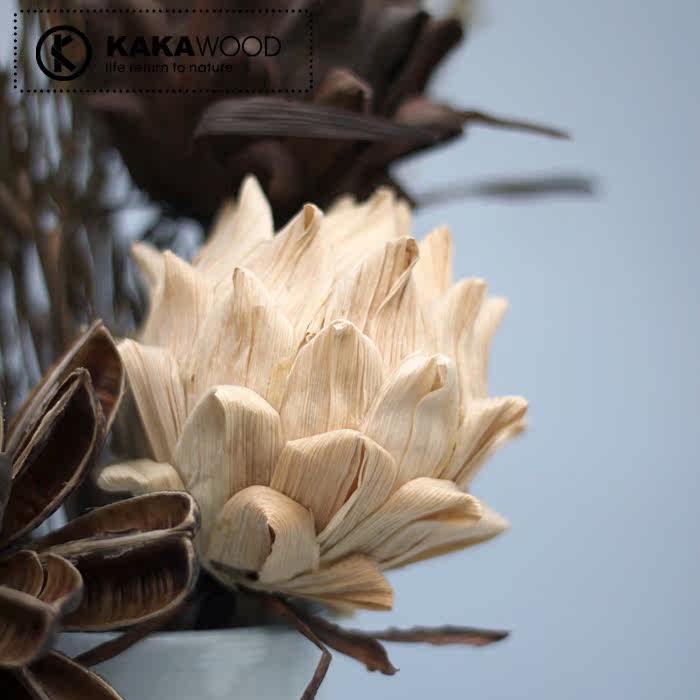 kkw�Ҿ�װ��ֲ����Ȼ�ɻ�