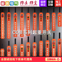 COB crane button operation handle crane electric hoist control button switch rainproof reverse