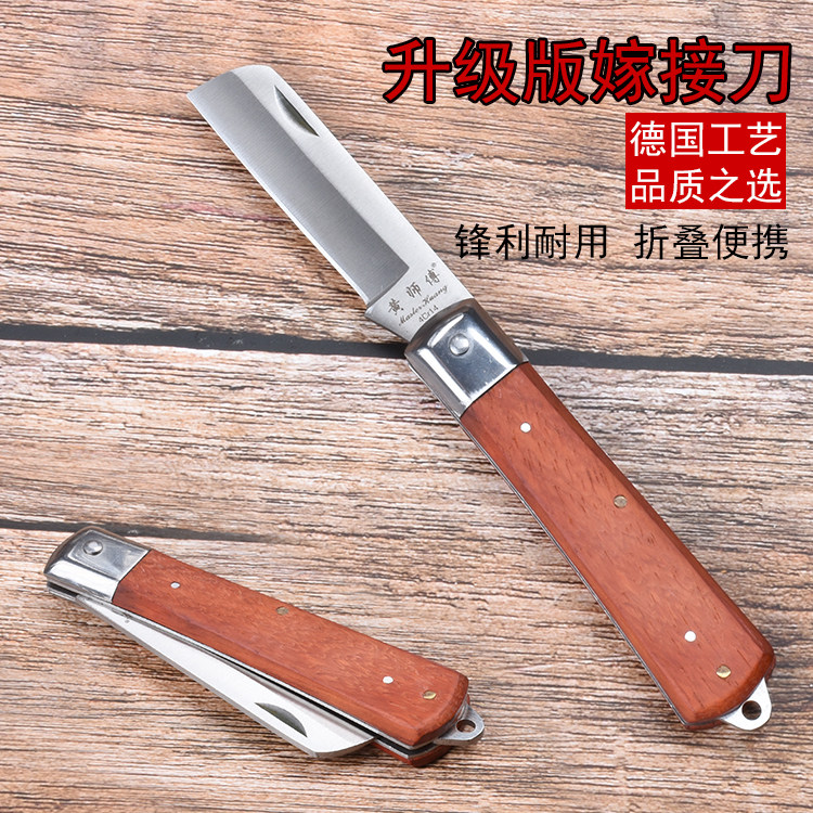 什么是嫁接技术