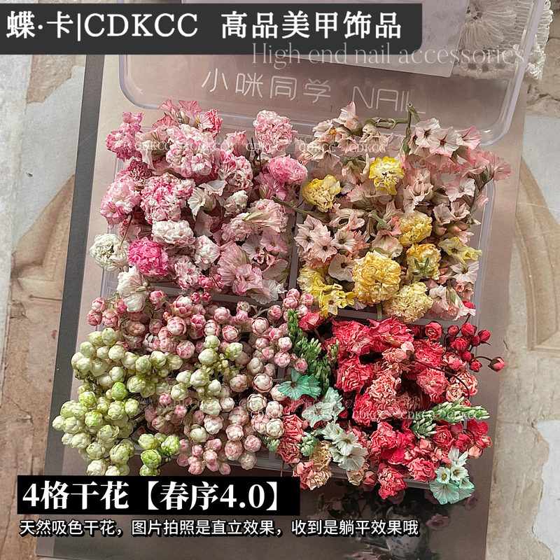 Dk Butterfly Card Hot Item【4-Grid Eternal Flowers】Spring Pink Dried Flowers Small Roses Dried Flowers Eternal Flowers Nail Art Materials