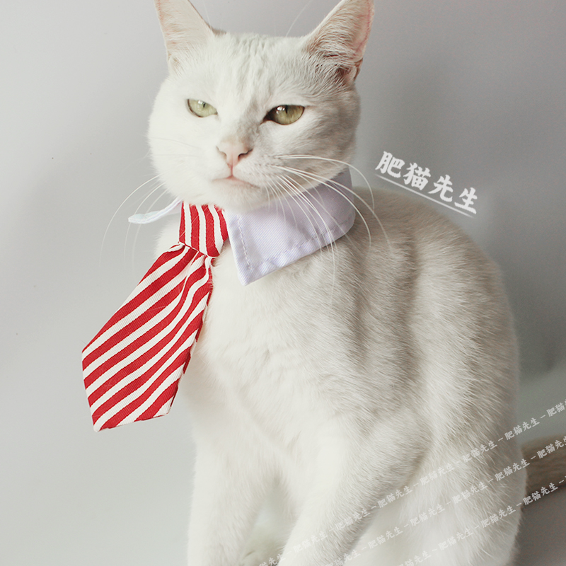[Mr. Fat Cat] Pet quý ông sọc rắn màu cà vạt Mèo và chó chó ảnh quần áo thắt nơ - Quần áo & phụ kiện thú cưng mèo mặc áo
