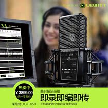 LEWITT Levitt DGT 650 digital capacitor stereo mobile recording microphone USB dubbing microphone