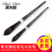 Black Swan Black Velvet Velvet Fur Fine Art Student Professional Watercolor Pen Cat Tongue Brush Pen