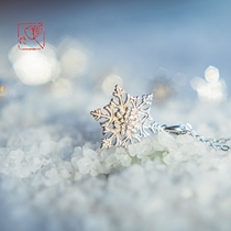 Endless Summer 925 Silver Realistic Snowflake Earnail Silver Needle Ear Clip Brief New Collarbone Chain Necklace Jewellery Blind Box