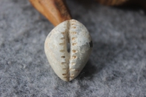 First Qin Shang Zhou Period Yubebe coins ancient coins 2 7 * 2 cm bags Old and real pat ZZ 2423