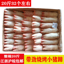 Frozen pig feet fresh with ribs barbecue pig feet whole box 20 catties 42 or so pig hands Jiangsu Zhejiang Shanghai and Anhui