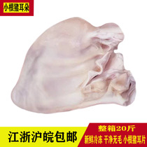 Fresh frozen pig ears whole box 20 catties 22 pieces or so pig ear slices raw pig ears clean and hairless