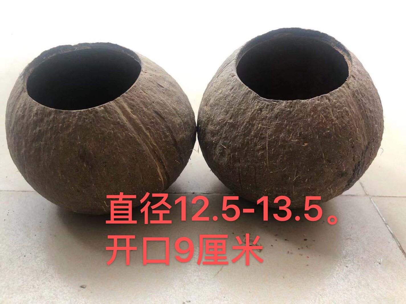 Coconut Shell Pots Planting Plants Balcony Home Decoration (starting at 200 pcs) order to pay No