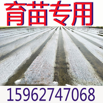 Rice seedling cloth Agricultural non-woven fabric Flower and tree seedling Anti-aging geotextile film Geomembrane breathable lazy man film