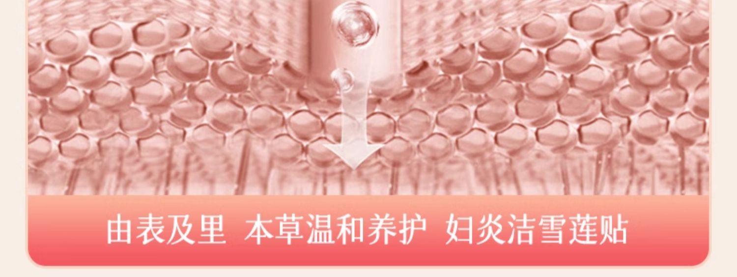 【中国直邮】 妇炎洁 雪莲清芯净养贴  雪莲贴护垫  草本卫生护理垫  中药纯棉抑菌保养贴  2贴*3盒