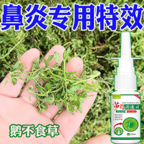 鼻炎专用药特效苗家鼻炎膏鹅不食草过敏性鼻塞鼻窦炎鼻甲肥大