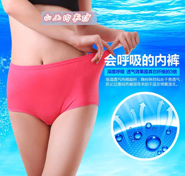 Slip en coton - Ref 644309 Image 6