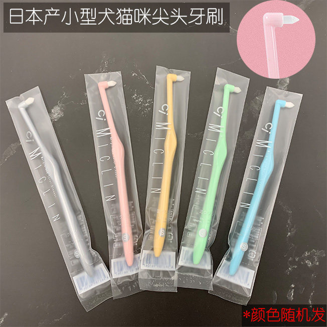 Made in Japan imported pet small pointed toothbrush cat toothbrush dog dog small dog super small dog toothbrush toothpaste