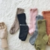 Vớ trẻ em Hàn Quốc nhiều màu thời trang mùa xuân hoang dã và mùa thu mô hình đại học vớ cotton hoang dã