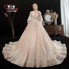 Свадебное платье 特大码婚纱礼服2020新款新娘奢华大码胖mm妹妹200斤加肥遮粗手臂