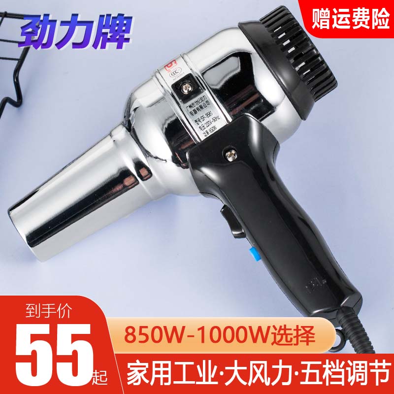 Stiff Force Cards 9581 Hair Dryer Small Power 850W Stainless Steel Metal Iron Shell Home Dorm Hair Dryer Muted