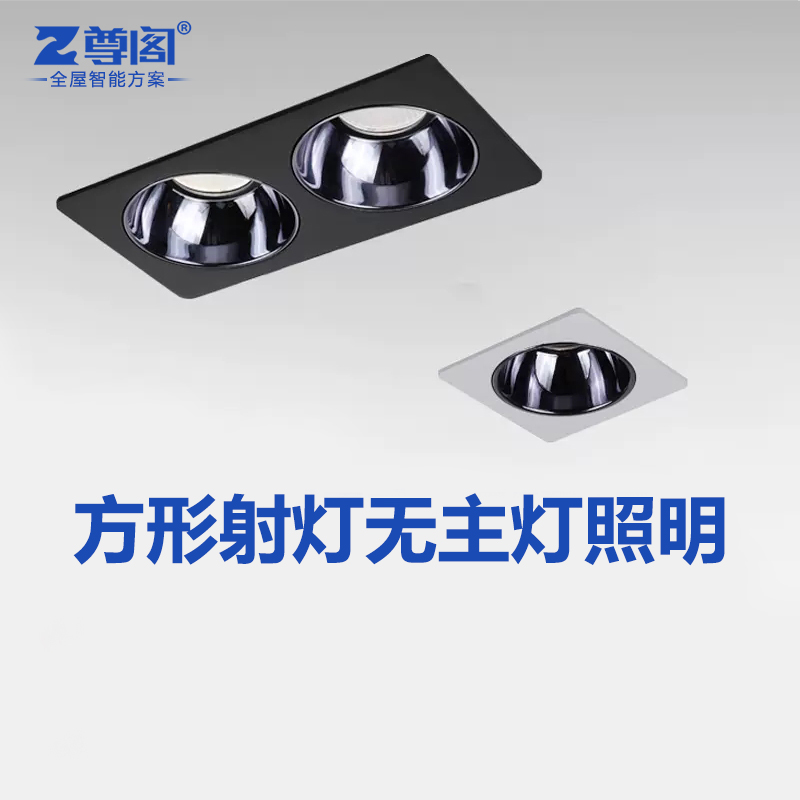 Zhengtau LED double head light square anti-glare embedded boldlamp clothing storeroom living room corridor hotel Ceiling lights
