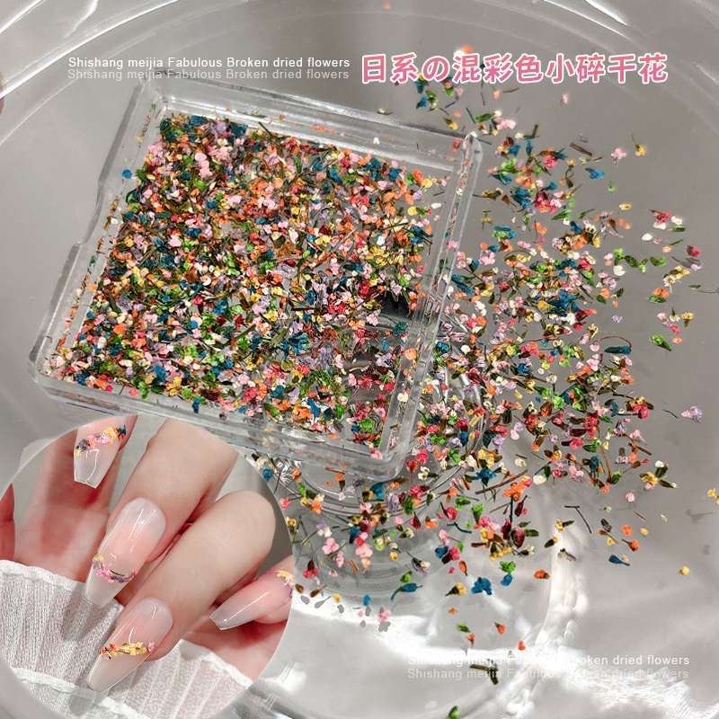 Nail Art Dried Flower Decorations, Colorful Mixed Small Floral Pieces, New Mini Real Flowers, Assorted Wearable Nail Accessories