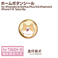 Джинхуань Шиба Ину