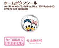 Белое кольцо Дональд