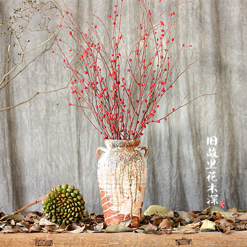 Alice Home Living Room Art Decoration Dried Flowers Fruit Zen All Categories