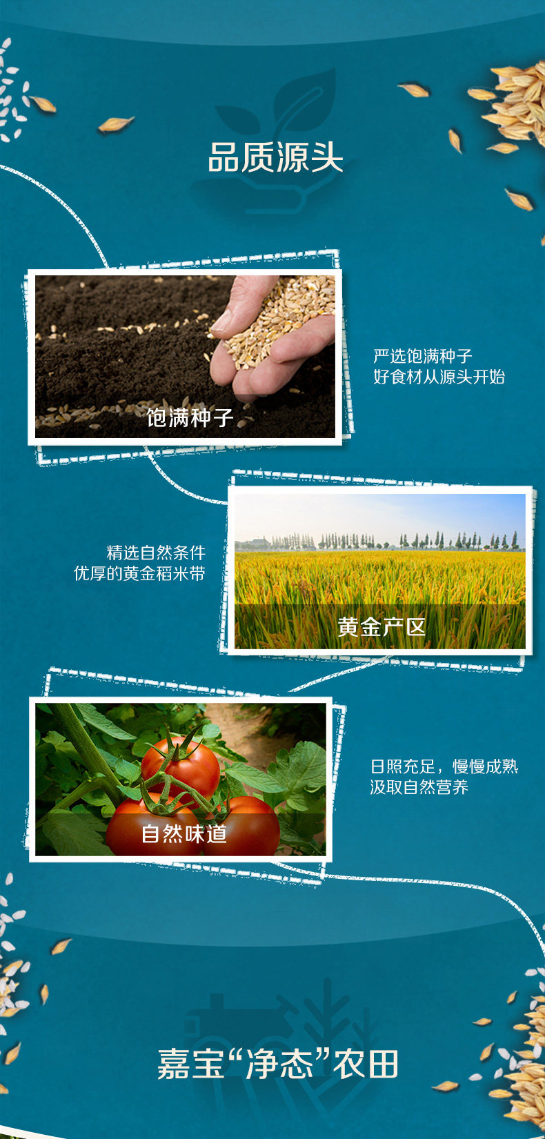 Gerber-PDP-Original Rice Noodse_03.jpg