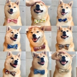 Японский аксессуар, регулируемая галстук-бабочка с бантиком, чокер, популярно в интернете