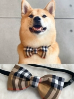 BBR шотландская сетка