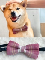 Малиновая сетка черного чая