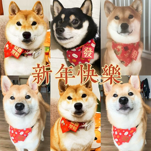 2023 Китайский новогодний новогодний новый год Pet Cat Dog, Shibu Inu Corgi Fighting Новый год.